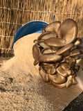 Træmel af bøgetræ (2 kg)