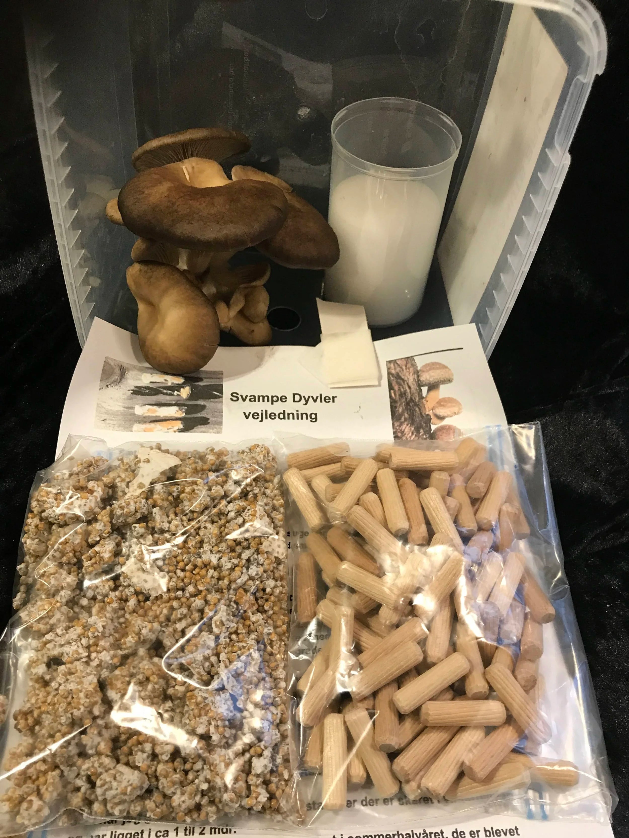 Starterkit: kom godt igang med svampedyvler