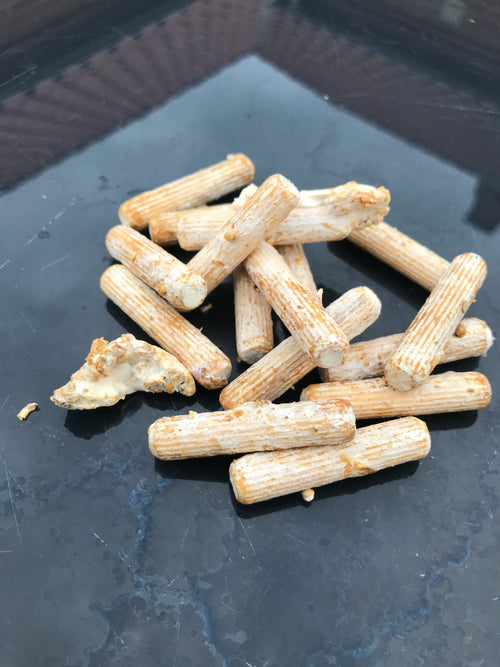 Dyvler med østershattemycelium, velegnet til koldere temperaturer